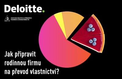 Jak připravit rodinnou firmu na převod vlastnictví?