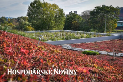 Šetrnému a ekologickému stavebnictví pomohou státní dotace i rostliny na střechách